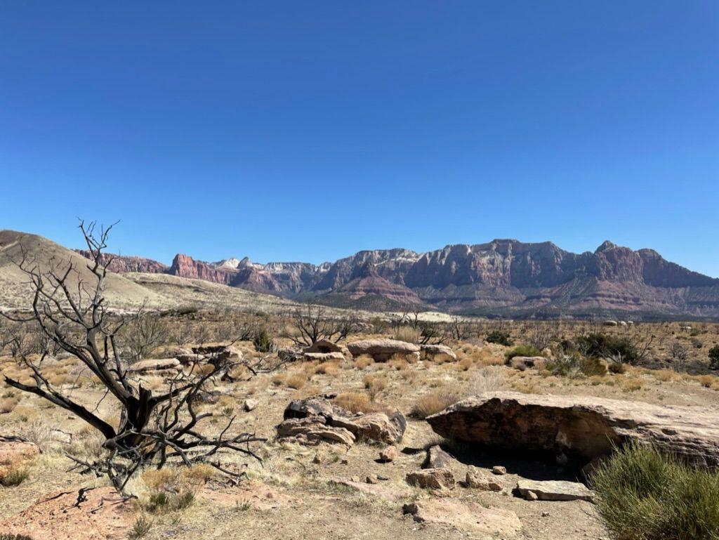 View from guacamole mesa, looking out at zion