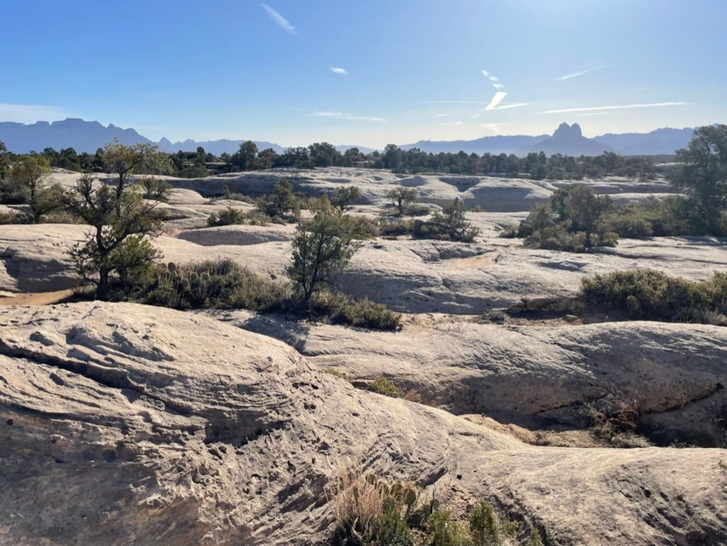 Slickrock on top of gooseberry mesa